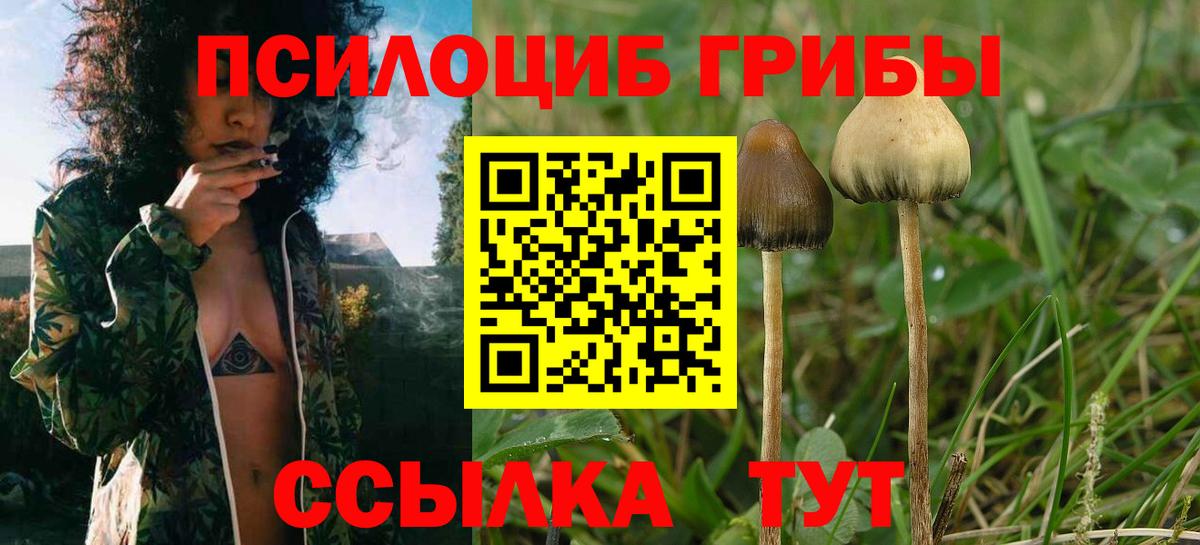 Псилоцибиновые грибы Cubensis  Псилоцибиновые грибы мицелий  магазин продажи   Вход с VPN  Альметьевск 