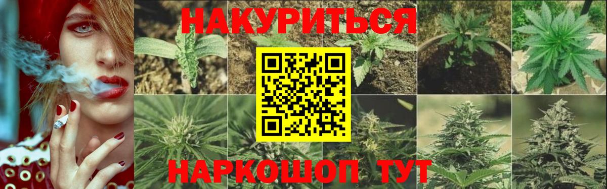 Альметьевск  Бошки Шишки тримм  Канабис ГИДРОПОН  Вход с VPN  Бошки Шишки гибрид  МАРИХУАНА план 